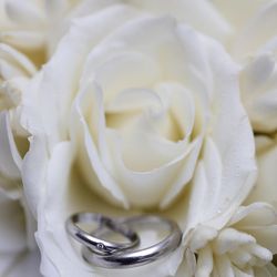 アルカンシエル ベリテ 大阪の写真35枚目