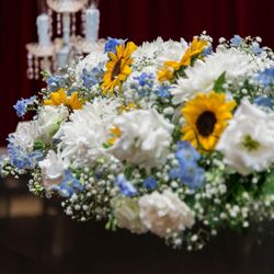 けやき坂 彩桜邸 シーズンズテラスの写真29枚目