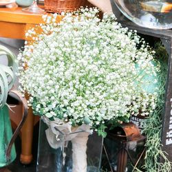 けやき坂 彩桜邸 シーズンズテラスの写真7枚目