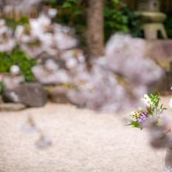 八芳園の写真30枚目