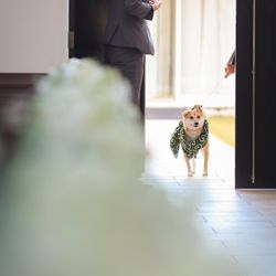 ブランレヴュー宇都宮アクアテラスの写真8枚目