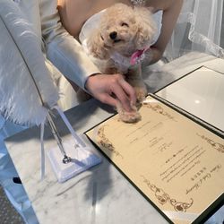 恵比寿Duo DOMOの写真1枚目