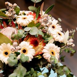 けやき坂 彩桜邸 シーズンズテラスの写真1枚目