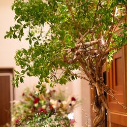 ラソールガーデン名古屋の写真35枚目