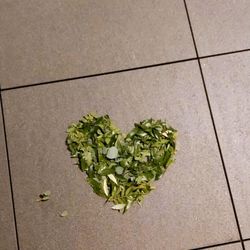 TRUNK HOTELの写真10枚目