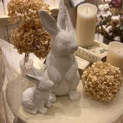 クアンティックの写真21枚目