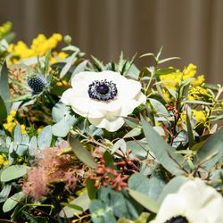 ザ・ベイスイート 桜島テラスの写真14枚目