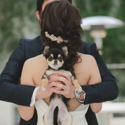 エネコ東京の写真27枚目