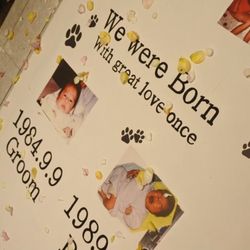 インスタイルウェディング京都の写真17枚目