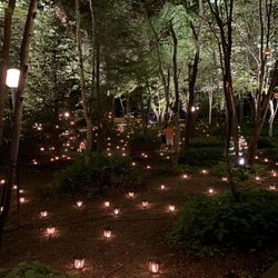 星野リゾート 軽井沢ホテルブレストンコートの写真30枚目