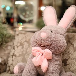 アートグレイス・ウエディングコースト 大阪の写真8枚目