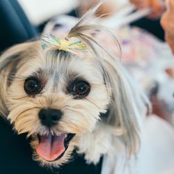 ヴィラ・グランディス ウエディングリゾートの写真5枚目