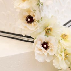 ビアンカーラ マリーナテラスの写真1枚目