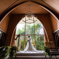 アーセンティア迎賓館 大阪の写真14枚目