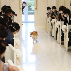 アーククラブ迎賓館 金沢の写真14枚目