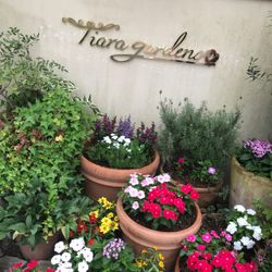 ティアラガーデンズ横浜の写真14枚目