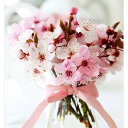 ラッセンブリ広尾の写真19枚目