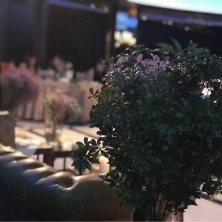 fuwari25さんの写真