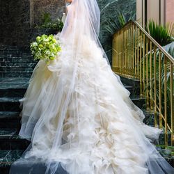 daisydaisy_wed1750さんの披露宴・挙式カバー写真