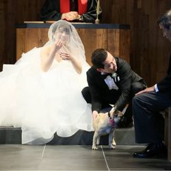 TRUNK HOTELの写真2枚目