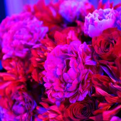 恵比寿Duo DOMOの写真7枚目