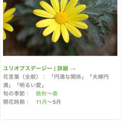 ラッセンブリ広尾の写真17枚目