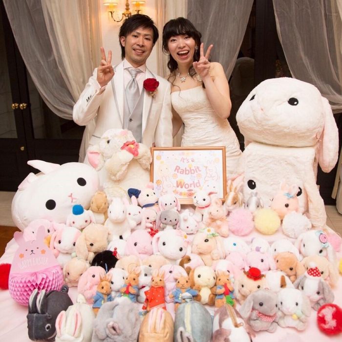 kimika4_4さんの披露宴・挙式カバー写真