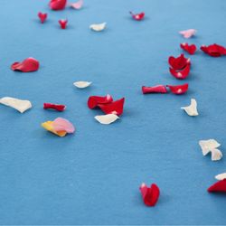 リビエラ逗子マリーナの写真7枚目