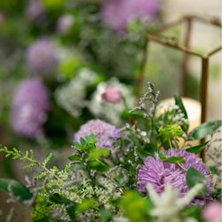 ザ・ガーデンオリエンタル大阪の写真29枚目