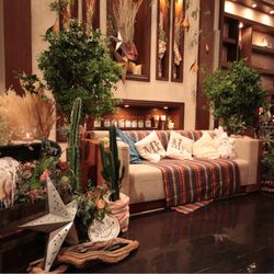 表参道TERRACEの写真5枚目