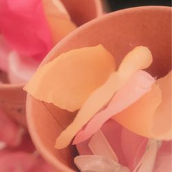 ウェディングニュースホテルの写真3枚目