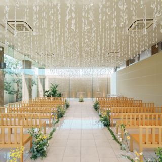 コンドさんの写真