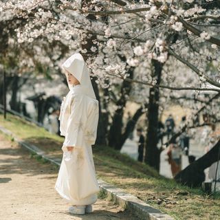 _3104.50_さんの写真