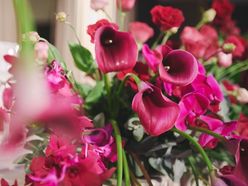 maison.yuyuさんの画像2枚目