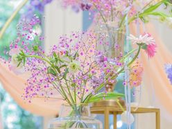 ponc__wdさんの画像2枚目