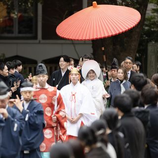 s a k uさんの写真