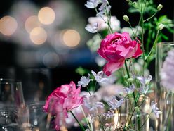 am_17x.x.xさんの画像2枚目