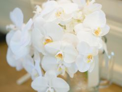 coconanatsさんの画像2枚目