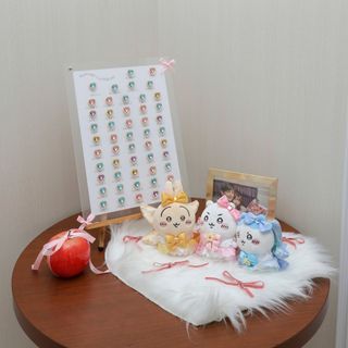 amo__q.00さんの写真