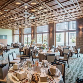 コンドさんの写真