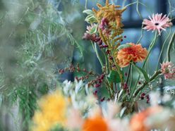 H.Kさんの画像3枚目