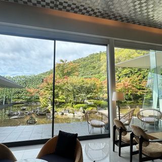 ともさんの写真