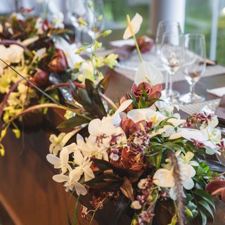 Akaneさんの写真