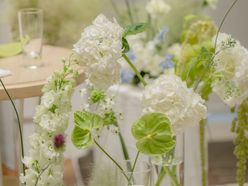 miavia_wd_0629さんの画像2枚目