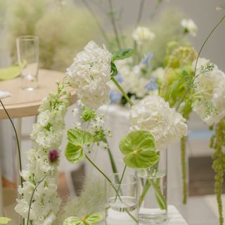 miavia_wd_0629さんの写真