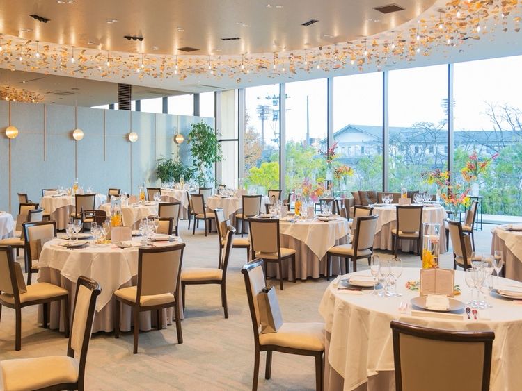 のむさんのカバー画像