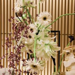 _____c0o0_trunk_wdさんの披露宴・挙式カバー写真