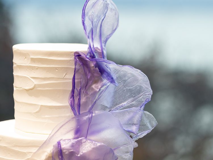 だいさんのカバー画像