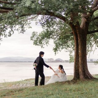 だいさんの写真