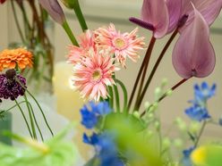 kotomi3さんの画像2枚目